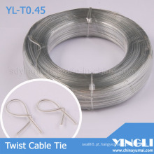Laço de cabo de torção plana duplo claro (YL-T0.45)
